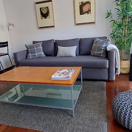 Appartamento Precioso En Cimadevilla *